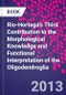 Rio-Hortega's Third Contribution to the Morphological Knowledge and Functional Interpretation of the Oligodendroglia - Product Thumbnail Image