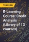 E-Learning Course: Credit Analysis (Library of 13 courses) - Product Thumbnail Image