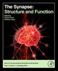 The Synapse. Structure and Function- Product Image