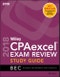 Wiley CPAexcel Exam Review 2018 Study Guide. Business Environment and Concepts - Product Image