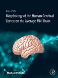 Atlas of the Morphology of the Human Cerebral Cortex on the Average MNI Brain- Product Image