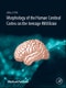 Atlas of the Morphology of the Human Cerebral Cortex on the Average MNI Brain - Product Image