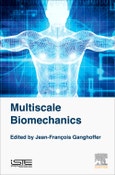 Multiscale Biomechanics- Product Image