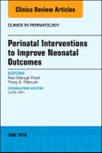 Perinatal Interventions to Improve Neonatal Outcomes, An Issue of Clinics in Perinatology. The Clinics: Internal Medicine Volume 45-2- Product Image