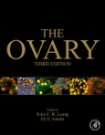 The Ovary. Edition No. 3- Product Image
