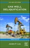 Gas Well Deliquification. Edition No. 3. Gulf Drilling Guides - Product Thumbnail Image