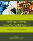 Biochar from Biomass and Waste. Fundamentals and Applications- Product Image