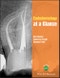 Endodontology at a Glance. Edition No. 1. At a Glance (Dentistry) - Product Thumbnail Image