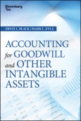 Accounting for Goodwill and Other Intangible Assets. Edition No. 1. Wiley Corporate F&A- Product Image