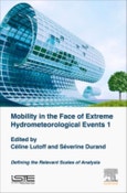 Mobility in the Face of Extreme Hydrometeorological Events 1. Defining the Relevant Scales of Analysis- Product Image