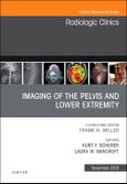 Imaging of the Pelvis and Lower Extremity, An Issue of Radiologic Clinics of North America. The Clinics: Radiology Volume 56-6- Product Image