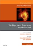 The Right Heart - Pulmonary Circulation Unit, An Issue of Heart Failure Clinics. The Clinics: Internal Medicine Volume 14-3- Product Image