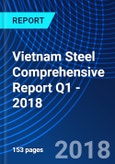 Vietnam Steel Comprehensive Report Q1 - 2018- Product Image
