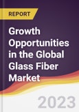 Growth Opportunities in the Global Glass Fiber Market- Product Image