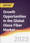 Growth Opportunities in the Global Glass Fiber Market - Product Thumbnail Image