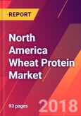 North America Wheat Protein Market 2018-2023 - Size, Trends, Competitive Analysis and Forecasts- Product Image