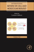 International Review of Cell and Molecular Biology. Volume 343- Product Image