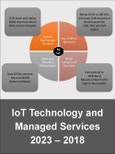 Industrial Internet of Things (IIoT) by IoT Technology and Managed Services 2018 – 2023- Product Image