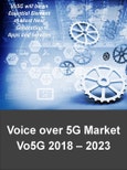 Voice over 5G (Vo5G) Market: Smart Phones, Wearable Technology, IoT, Virtual Reality, Robotics, and Teleoperation 2018 – 2023- Product Image