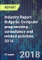 Industry Report Bulgaria: Computer programming consultancy and related activities 2014 - Product Thumbnail Image