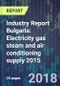 Industry Report Bulgaria: Electricity gas steam and air conditioning supply 2015 - Product Thumbnail Image