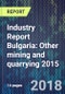 Industry Report Bulgaria: Other mining and quarrying 2015 - Product Thumbnail Image