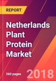 Netherlands Plant Protein Market - Size, Trends, Competitive Analysis and Forecasts (2018-2023)- Product Image