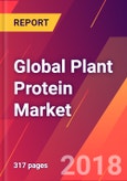 Global Plant Protein Market - Size, Trends, Competitive Analysis and Forecasts (2018-2023)- Product Image