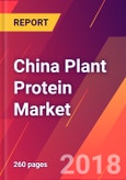 China Plant Protein Market - Size, Trends, Competitive Analysis and Forecasts (2018-2023)- Product Image