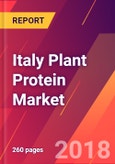 Italy Plant Protein Market - Size, Trends, Competitive Analysis and Forecasts (2018-2023)- Product Image