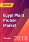 Egypt Plant Protein Market - Size, Trends, Competitive Analysis and Forecasts (2018-2023) - Product Thumbnail Image