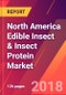 North America Edible Insect & Insect Protein Market- Size, Trends, Competitive Analysis and Forecasts (2018-2023) - Product Thumbnail Image