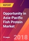 Opportunity in Asia-Pacific Fish Protein Market - Size, Trends, Competitive Analysis and Forecasts (2018-2023) - Product Thumbnail Image