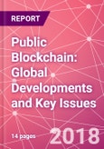 Public Blockchain: Global Developments and Key Issues - Product Image