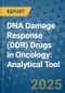 DNA Damage Response (DDR) Drugs in Oncology: Analytical Tool - Product Thumbnail Image