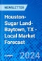 Houston-Sugar Land-Baytown, TX - Local Market Forecast - Product Thumbnail Image