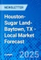 Houston-Sugar Land-Baytown, TX - Local Market Forecast - Product Thumbnail Image