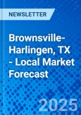 Brownsville-Harlingen, TX - Local Market Forecast- Product Image