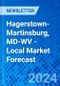 Hagerstown-Martinsburg, MD-WV - Local Market Forecast - Product Image