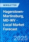 Hagerstown-Martinsburg, MD-WV - Local Market Forecast - Product Image