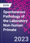 Spontaneous Pathology of the Laboratory Non-human Primate - Product Image