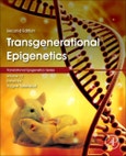 Transgenerational Epigenetics. Edition No. 2. Translational Epigenetics Volume 13- Product Image