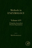 Ubiquitin-dependent Protein Degradation. Methods in Enzymology Volume 619- Product Image