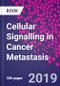 Cellular Signalling in Cancer Metastasis - Product Image