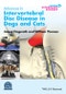 Advances in Intervertebral Disc Disease in Dogs and Cats. Edition No. 1. AVS Advances in Veterinary Surgery - Product Thumbnail Image