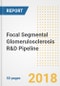 Focal Segmental Glomerulosclerosis R&D Pipeline Analysis Report, H2-2018 - Product Thumbnail Image