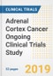 2019 Adrenal Cortex Cancer Ongoing Clinical Trials Study- Companies, Countries, Drugs, Phases, Enrollment, Current Status and Markets - Product Thumbnail Image