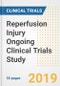 2019 Reperfusion Injury Ongoing Clinical Trials Study- Companies, Countries, Drugs, Phases, Enrollment, Current Status and Markets - Product Thumbnail Image