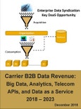 Carrier B2B Data Revenue: Big Data, Analytics, Telecom APIs, and Data as a Service (DaaS) 2018-2023- Product Image