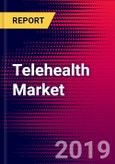 Telehealth Market Report - United States - 2019-2025- Product Image